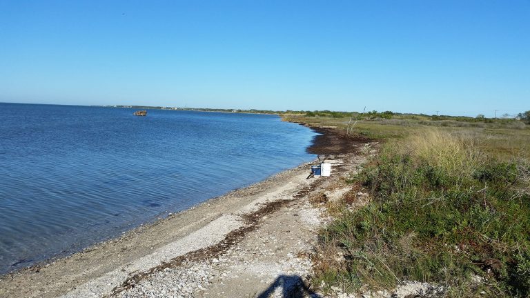 Aransas County Kayaking Airport Road 3