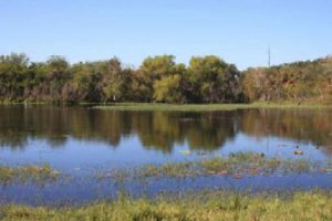 Aransas County Birding Moore Pond