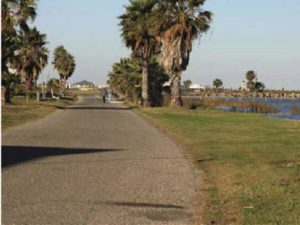 Aransas County Birding Shell Ridge Road 6