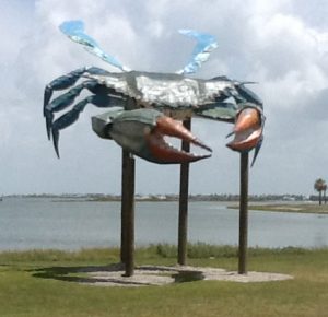 History  Big Blue Crab 2