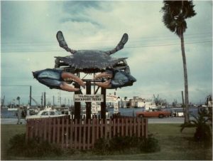 History  Big Blue Crab 1