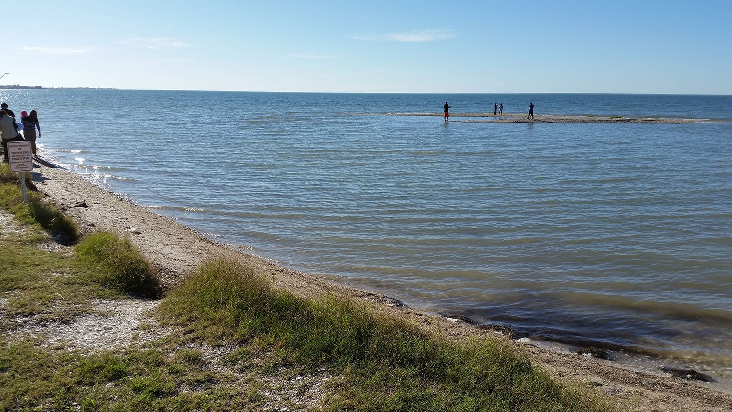 Aransas Pathways Birding
Murph Park Airport Park 3