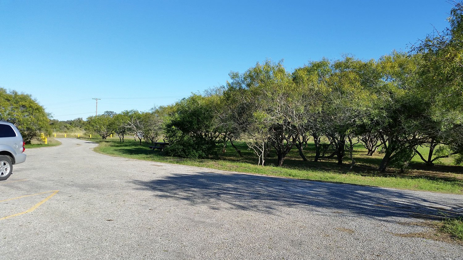 Aransas Pathways Birding
Murph Park Airport Park 2