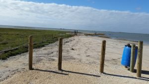 Aransas pathways Kayaking Birding Port Bay 5