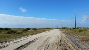 Aransas pathways Kayaking Birding Port Bay 4