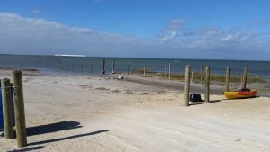 Aransas pathways Kayaking Birding Port Bay 3