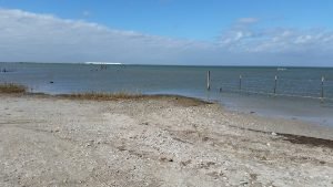 Aransas pathways Kayaking Birding Port Bay 