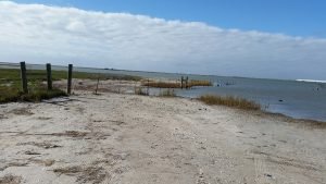 Aransas pathways Kayaking Birding Port Bay 6