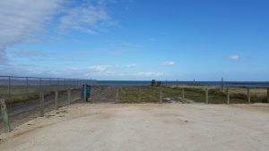 Aransas Pathways site Kayaking Swan Lake Birding 8