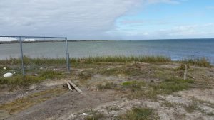 Aransas Pathways site Kayaking Swan Lake Birding 7