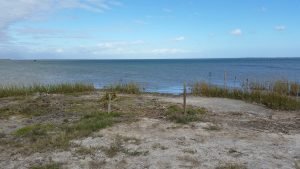 Aransas Pathways site Kayaking Swan Lake Birding 6