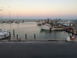 Aransas Pathways Birding Fulton Harbor 2