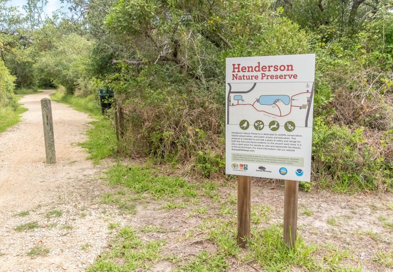 Aransas Pathways Birding Henderson Habitat Preserve