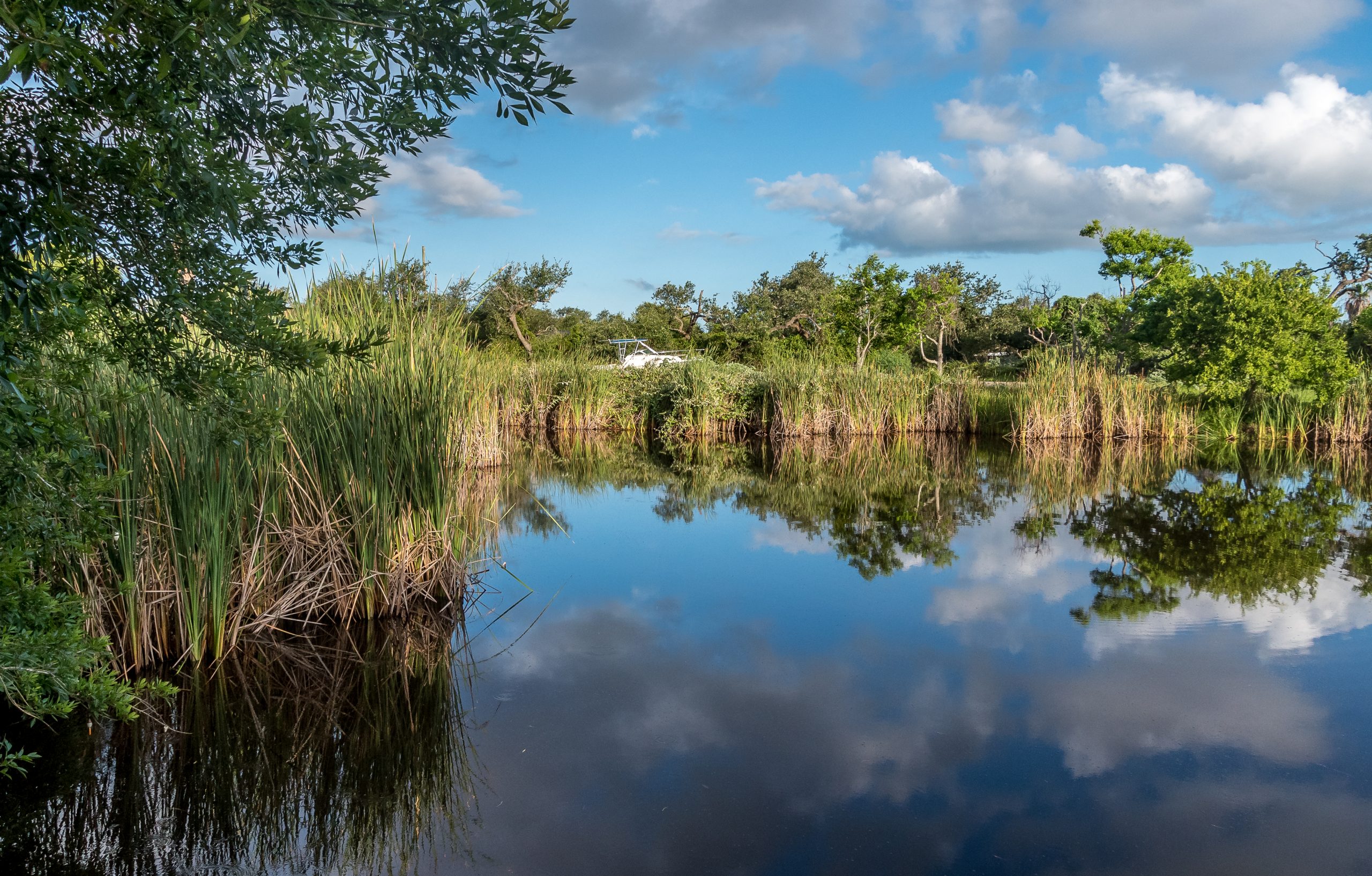 Aransas Pathways Birding Holiday Beach Pond