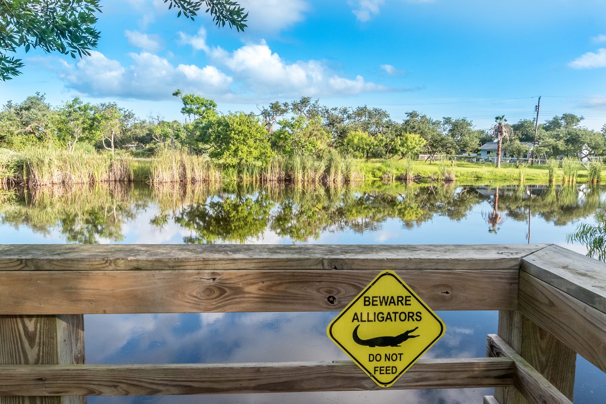 Aransas Pathways Birding Holiday Beach Pond