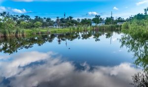 Aransas Pathways Birding Holiday Beach Pond