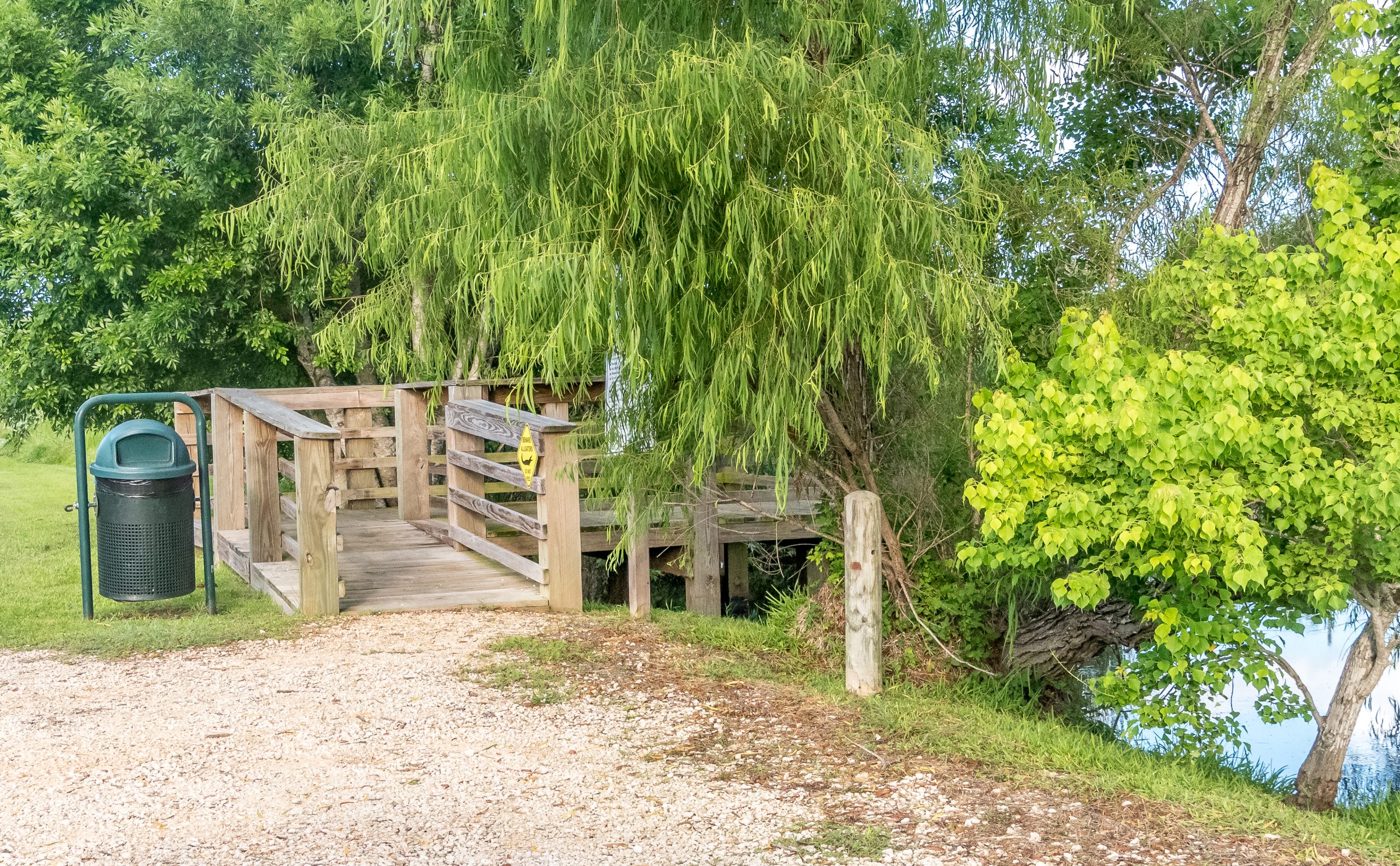 Aransas Pathways Birding Holiday Beach Pond