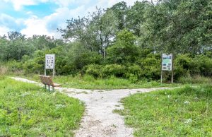 Aransas Pathways Birding Ivy Lane