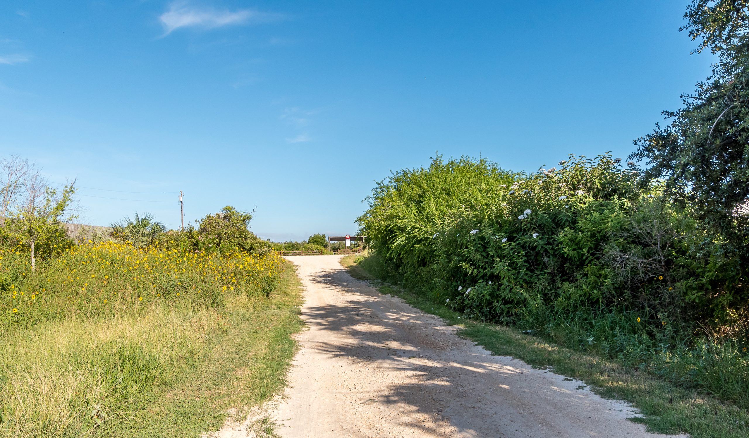 Aransas Pathways Birding Castro Nature Sanctuary