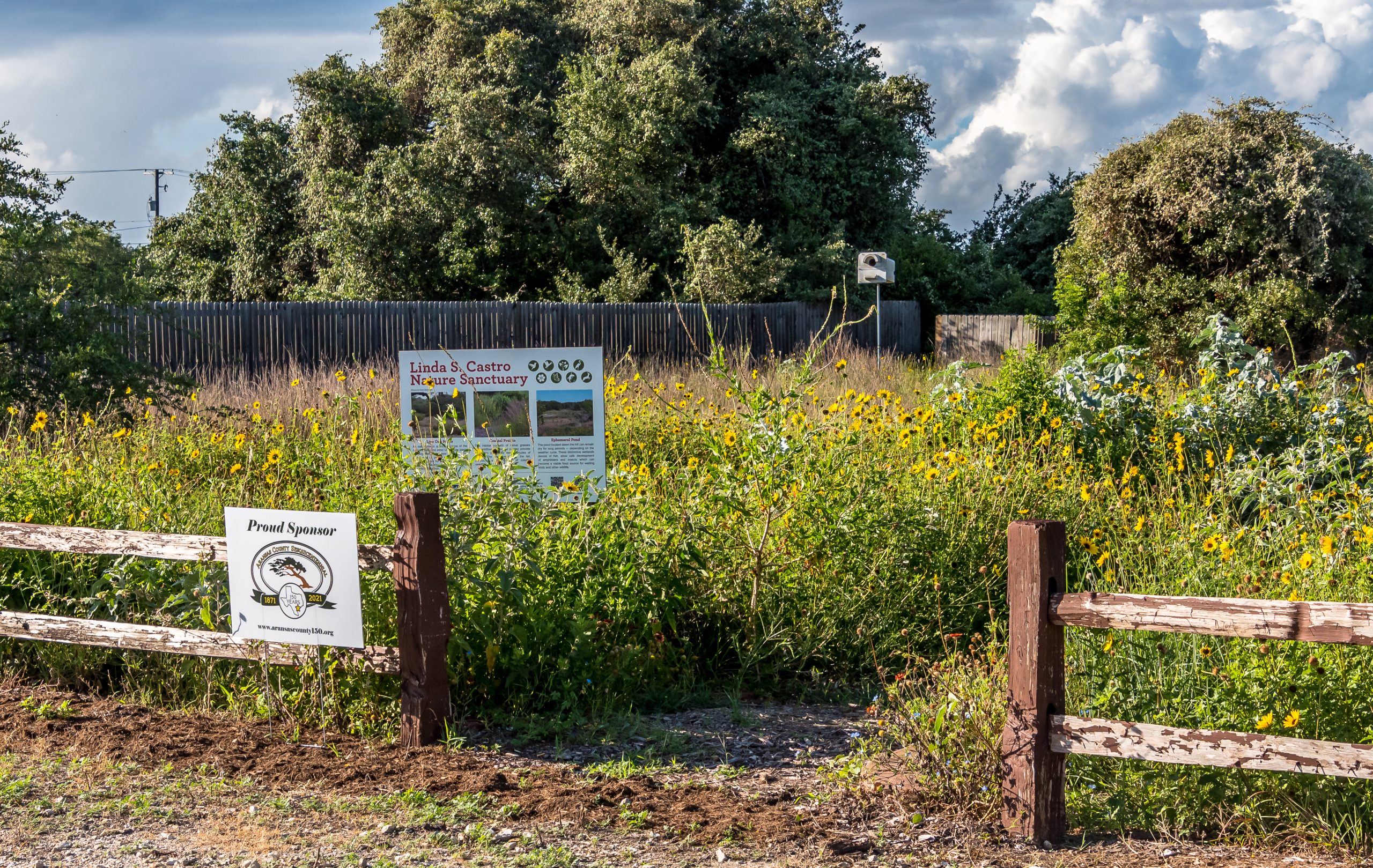 Aransas Pathways Birding Castro Nature Sanctuary