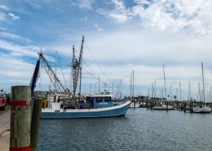 Aransas Pathways Birding Fulton Harbor