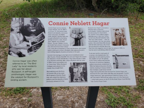 Aransas Pathways Birding Connie Hagar Cottage Sanctuary
