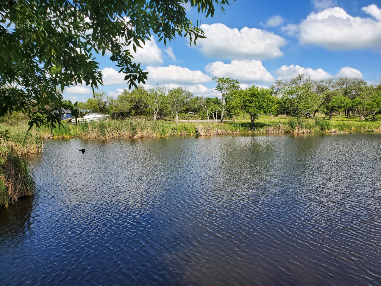 Aransas Pathways Birding Holiday Beach Pond