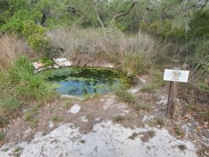 Aransas Pathways Birding Ivy Lane