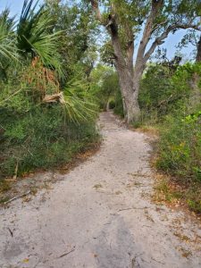 Aransas Pathways Birding Ivy Lane