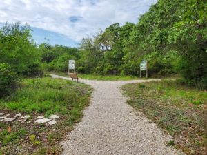 Aransas Pathways Birding Ivy Lane