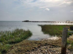 Aransas Pathways site Kayaking Swan Lake Birding