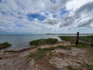 Aransas Pathways site Kayaking Swan Lake Birding