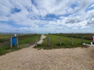 Aransas Pathways site Kayaking Swan Lake Birding