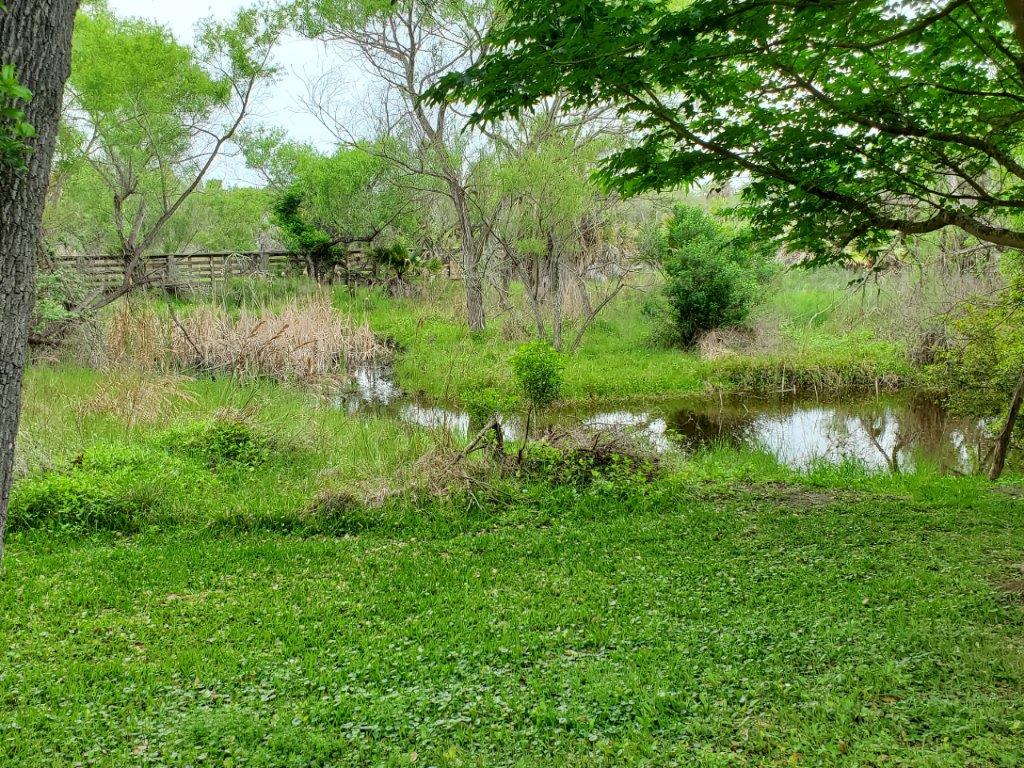 Aransas Pathways Center - Pavilion & Bridge Tule Creek West