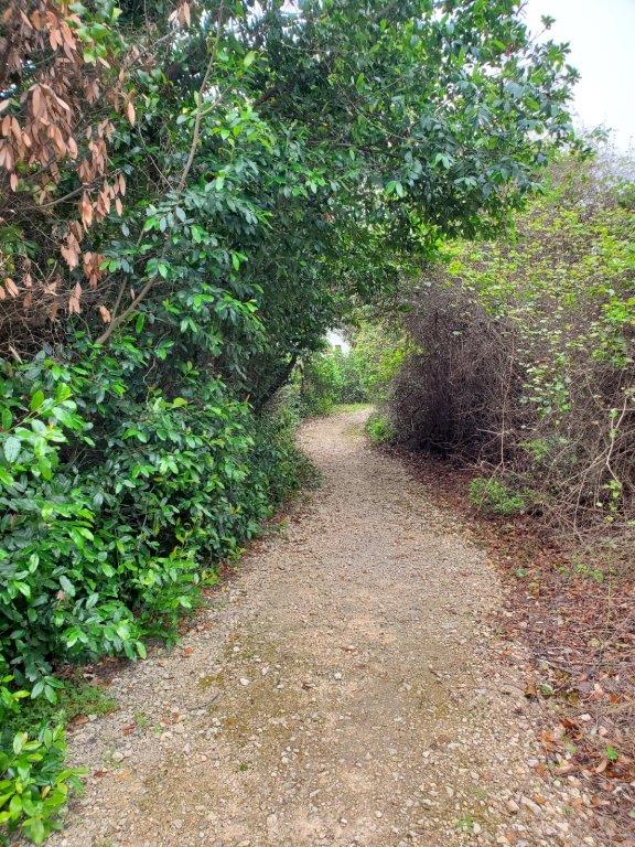 Aransas Pathways Center - Pavilion & Bridge Tule Creek West