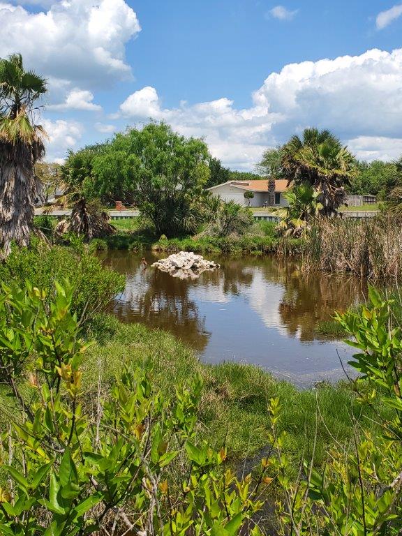 Aransas Pathways Center - Pavilion & Bridge Tule Creek West