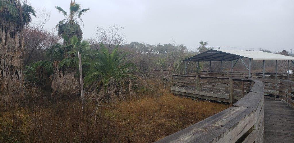 Aransas Pathways Birding Tule Creek East Demo Garden