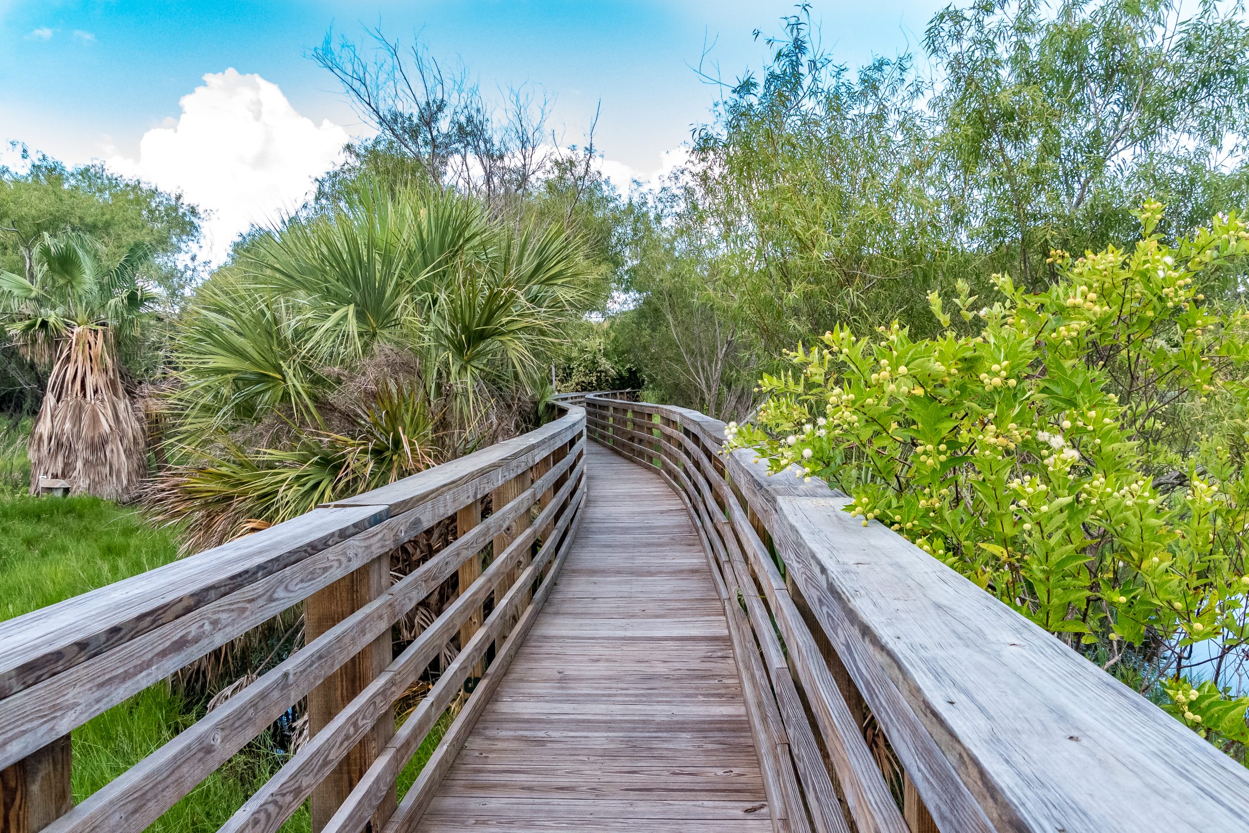 Aransas Pathways Birding Tule Creek East Demo Garden