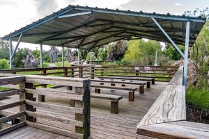 Aransas Pathways Birding Tule Creek East Demo Garden