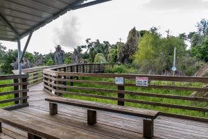 Aransas Pathways Birding Tule Creek East Demo Garden