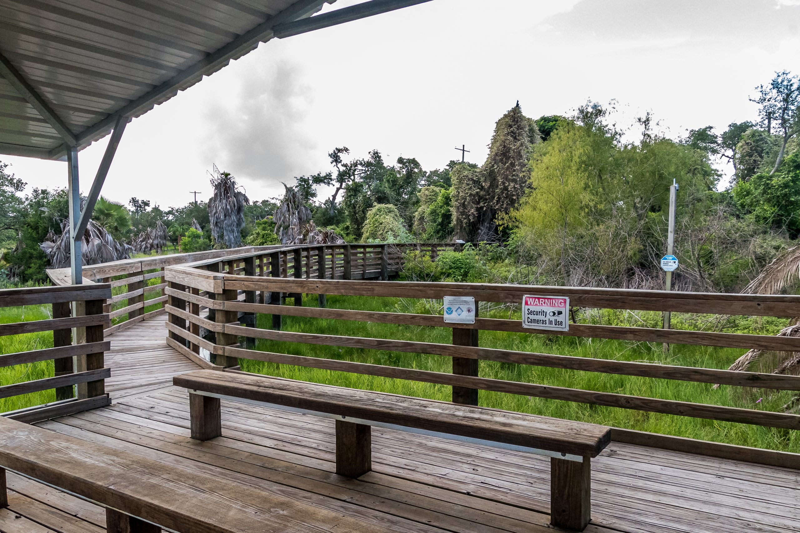 Aransas Pathways Birding Tule Creek East Demo Garden