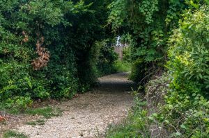 Aransas Pathways Birding Tule Creek East Demo Garden