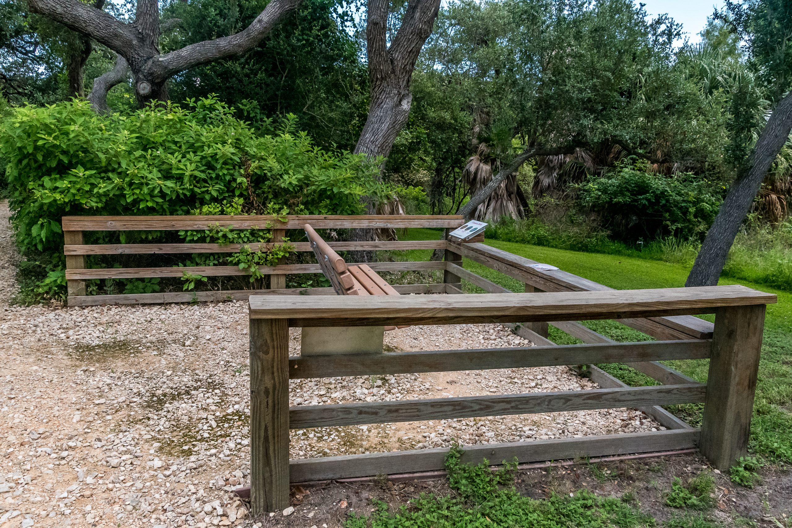 Aransas Pathways Birding Tule Creek East Demo Garden
