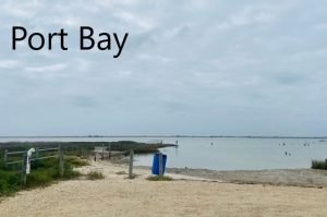 Aransas pathways Kayaking Birding Port Bay 