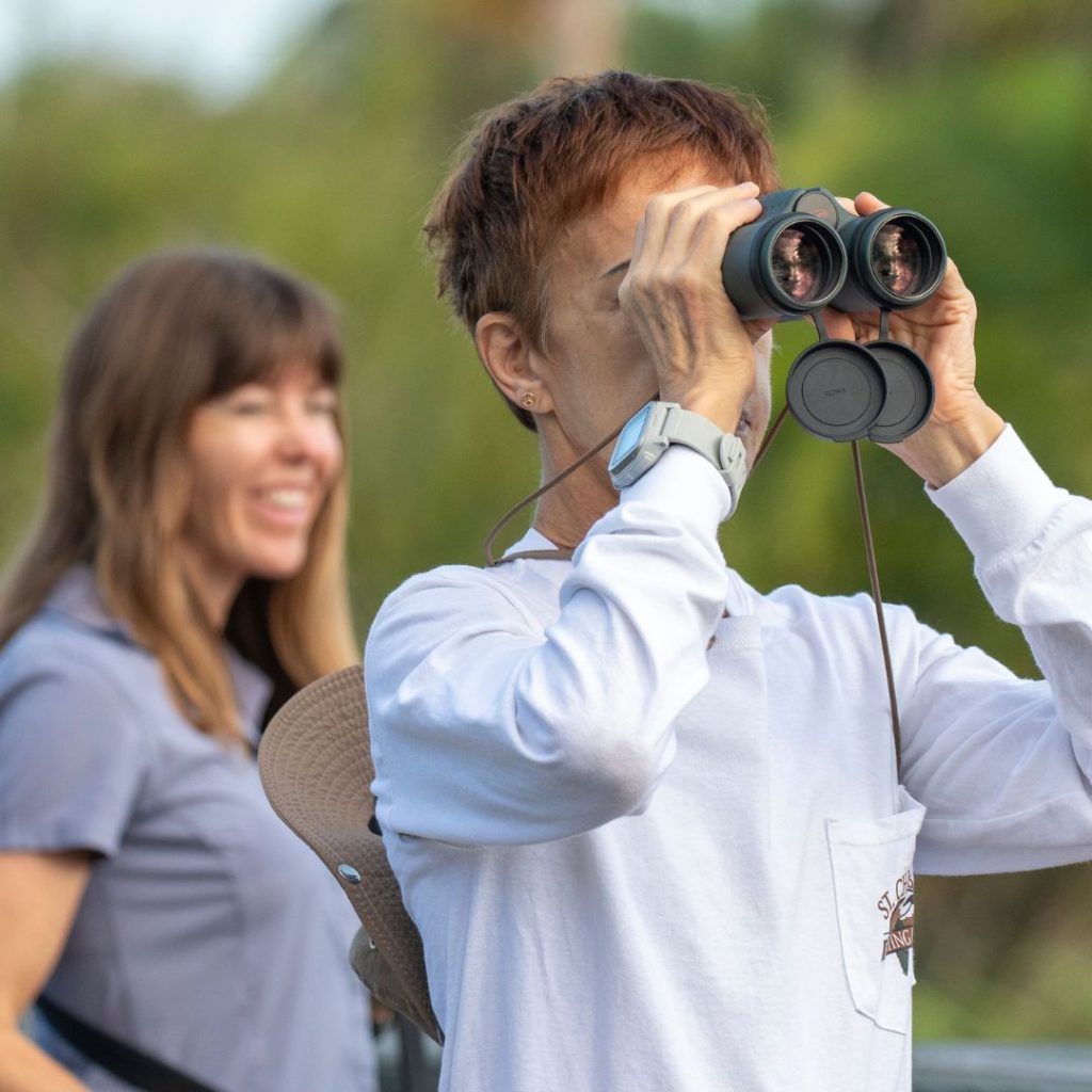 Aransas Pathways Birdwatching