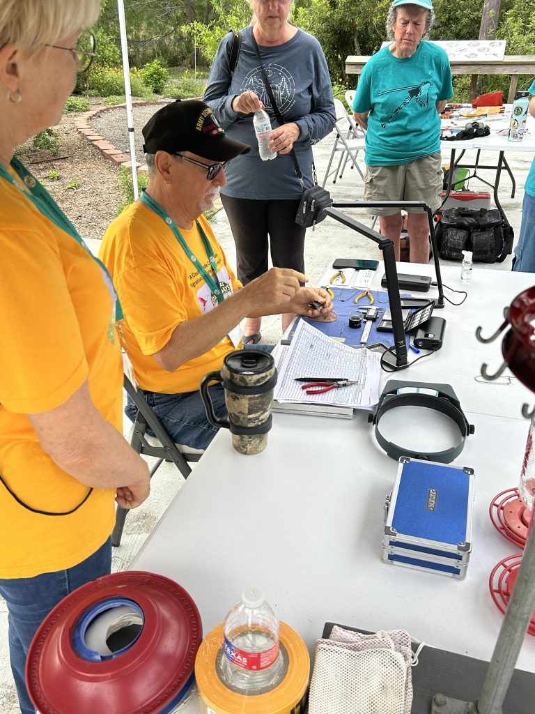 ABD 2026-Bird Banding-Linda Castro-IMG_7131 (1)