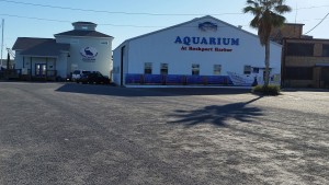 Aquarium-2