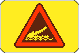 Beware of Alligator