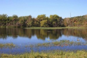 Aransas County Birding Moore Pond