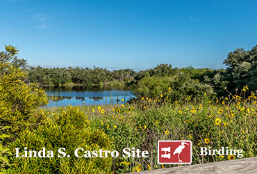 Aransas Pathways Site Birding Castro Nature Sanctuary